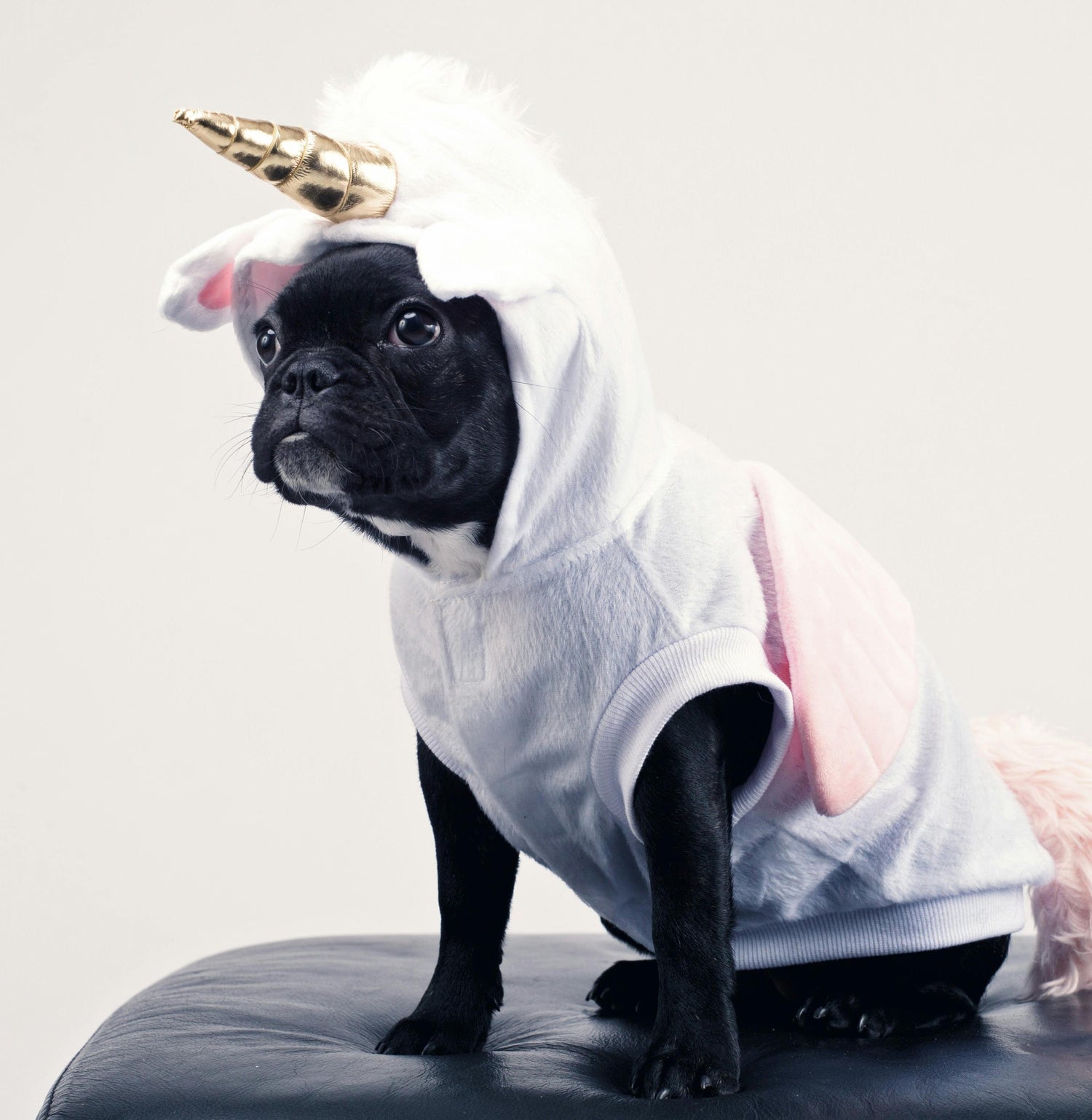 Funny costumes