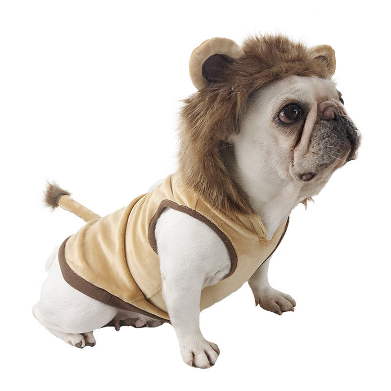 Lion Costume
