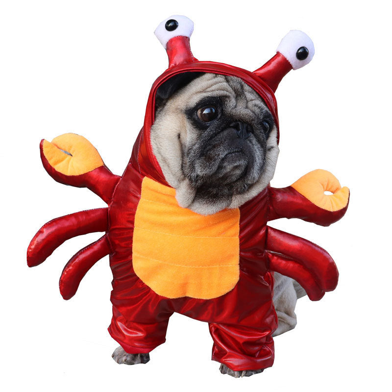 Shrimp Costume