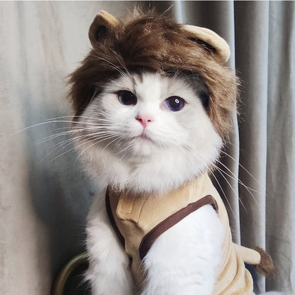 Lion Costume