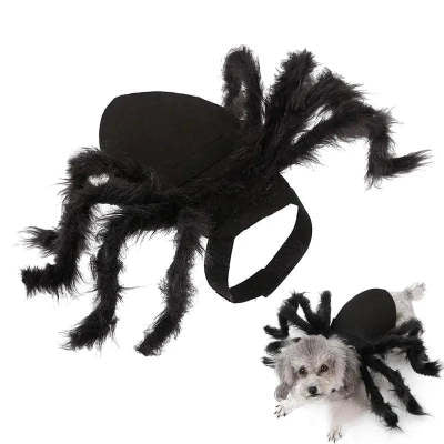 Spider Costume