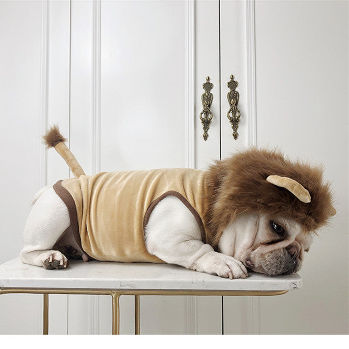 Lion Costume
